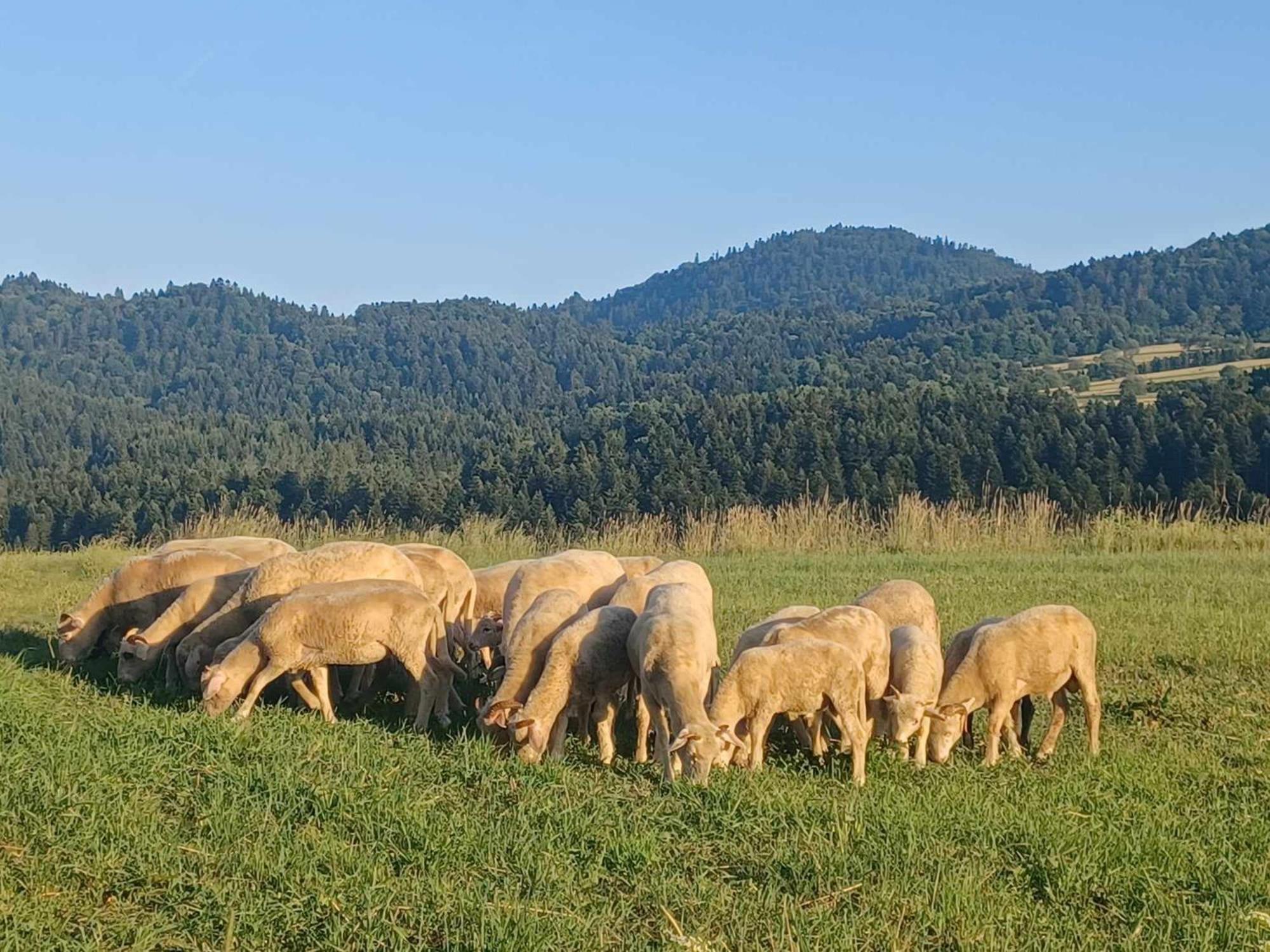 Domek Na Lakach Grywald Εξωτερικό φωτογραφία